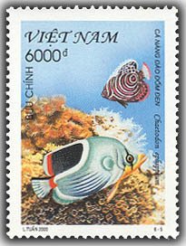 Colnect-1659-589-Saddle-back-Butterflyfish-Chaetodon-ephippium.jpg