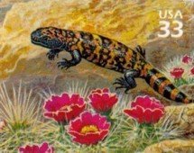 Colnect-201-226-Gila-Monster-Heloderma-suspectum.jpg