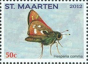 Colnect-2624-584-Silver-spotted-Skipper-Hesperia-comma.jpg