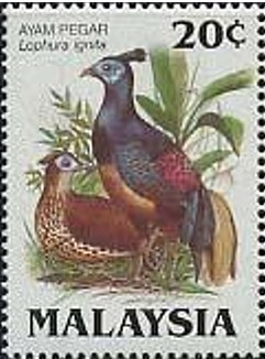 Colnect-2663-903-Bornean-Crested-Fireback-Lophura-ignita.jpg