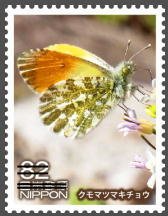 Colnect-3536-809-Orange-Tip-Butterfly-Anthocharis-Cardamines-.jpg