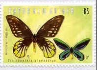 Colnect-1255-885-Ornithoptera-alexandras.jpg