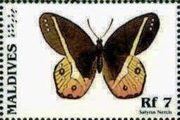 Colnect-4182-807-Moth-Pierella-nereis.jpg