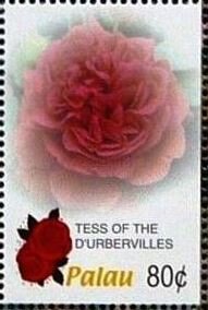 Colnect-5861-888-Tea-of-the-d-Urbervilles-rose.jpg