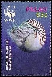 Colnect-1638-037-Palau-Nautilus-Nautilus-belauensis.jpg