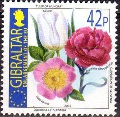 Colnect-1849-542-Tulip-of-Hungary-Carnation-of-Slovenia---Dog-Rose-of-Slovak.jpg