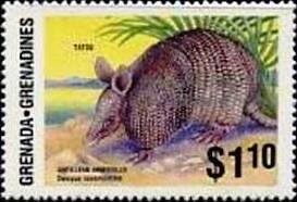 Colnect-4309-203-Antillean-armadillo.jpg