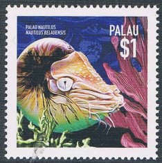 Colnect-4992-699-Palau-Nautilus-Nautilus-belauensis.jpg