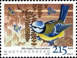 Colnect-546-092-Blue-Tit-Parus-caeruleus.jpg