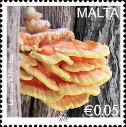 Colnect-618-313-Laetiporus-sulphureus.jpg