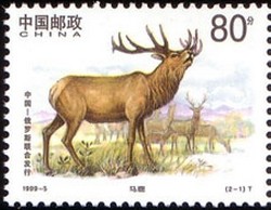 Colnect-664-941-Manchurian-Wapiti-Cervus-elaphus-xanthopygus.jpg