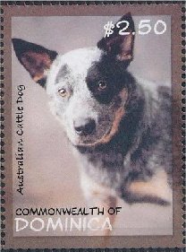 Colnect-3277-453-Australian-Cattle-Dog-Canis-lupus-familiaris.jpg