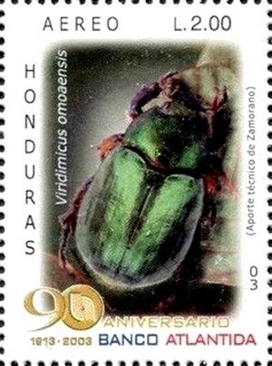 Colnect-3742-027-Scarab-Beetle-Viridimicus-omoaensis.jpg