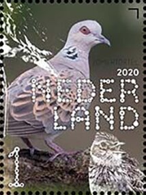 Colnect-6529-018-European-Turtle-Dove-Streptopelia-turtur.jpg