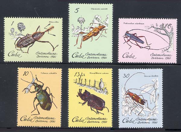 Skap-cuba_14_beetles_2299-2304.jpg