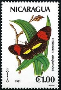 Colnect-2480-910-Common-Postman-Heliconius-melpomene.jpg