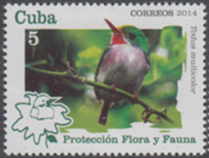 Colnect-2872-938-Cuban-Tody-Todus-multicolor.jpg