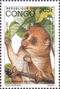 Colnect-4194-055-Calabar-Potto-Arctocebus-calabarensis.jpg