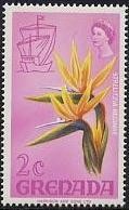 Colnect-1369-666-Strelitzia-reginae.jpg