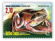 Colnect-3752-905-Greek-Stream-Frog-Rana-graeca.jpg