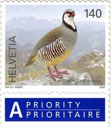 Colnect-558-140-Rock-partridge-Alectoris-graeca.jpg