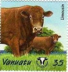 Colnect-1247-693-Limousin-Cattle-Bos-primigenius-taurus.jpg