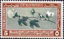 Colnect-1281-909-International-Cotton-Congress---Branch-of-Cotton.jpg