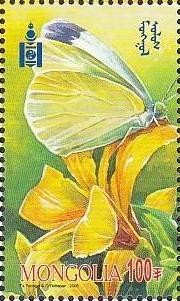 Colnect-1290-215-Butterfly-on-flower.jpg