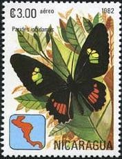 Colnect-1310-269-Iphidamas-Cattleheart-Parides-iphidamas.jpg