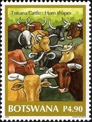 Colnect-1424-542-Longhorn-Cattle-Bos-primigenius-taurus.jpg