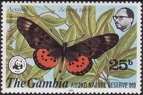 Colnect-1721-680-Large-Spotted-Acraea-Acraea-zetes.jpg