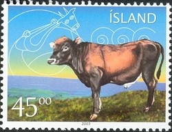 Colnect-439-643-Icelandic-Cattle-Bos-primigenius-taurus.jpg