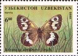 Colnect-783-964-Nymphalid-Butterfly-Karanassa-abramovi.jpg