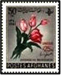 Colnect-2213-488-Tulip-Tulipa-sp-overprinted.jpg