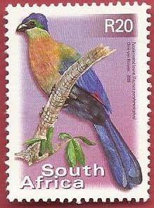 Colnect-4009-404-Purple-crested-Turaco-Tauraco-porphyreolophus.jpg