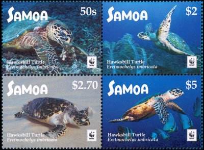 Colnect-4411-829-Hawksbill-sea-turtle-Eretmochelys-imbricata.jpg