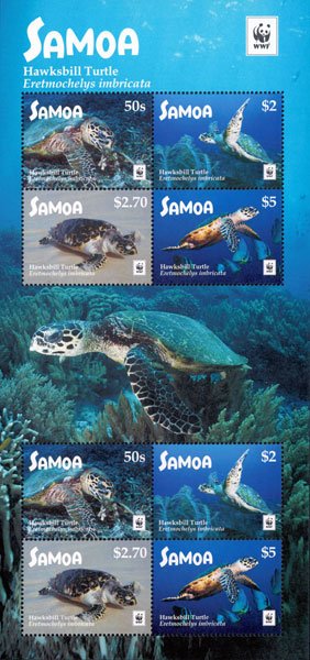 Colnect-4411-830-Hawksbill-sea-turtle-Eretmochelys-imbricata.jpg