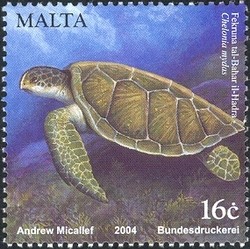 Colnect-657-555-Green-Turtle-Chelonia-mydas.jpg