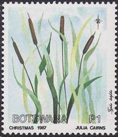 Colnect-1754-778-Typha-latifolia.jpg