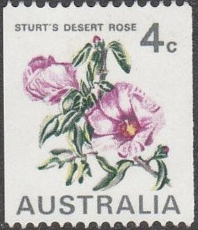 Colnect-1007-642-Sturt-s-Desert-Rose---Gossypium-sturtianum.jpg