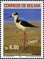 Colnect-1411-797-Black-necked-Stilt-Himantopus-himantopus-mexicanus.jpg