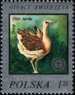 Colnect-2236-038-Great-Bustard-Otis-tarda.jpg