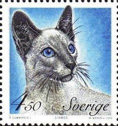 Colnect-436-468-Siamese-Cat-Felis-silvestris-catus.jpg