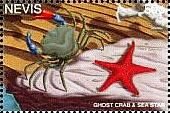 Colnect-4411-387-Ghost-crab-and-sea-star.jpg