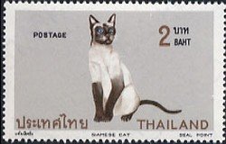 Colnect-484-223-Siamese-Cat-Felis-silvestris-catus.jpg