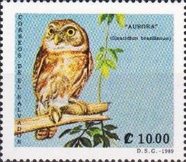 Colnect-4288-669-Glaucidium-brasilianum.jpg