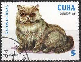 Colnect-1118-264-Persian-Blue-Felis-silvestris-catus.jpg