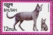 Colnect-3393-590-Russian-Blue-Felis-silvestris-catus.jpg