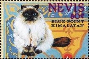 Colnect-4411-422-Blue-point-Himalayan.jpg