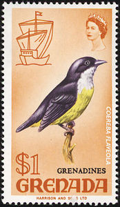 Colnect-1203-335-Bananaquit----Coereba-flaveola.jpg